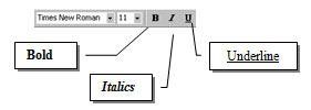Microsoft Word Character Formats Character Formats