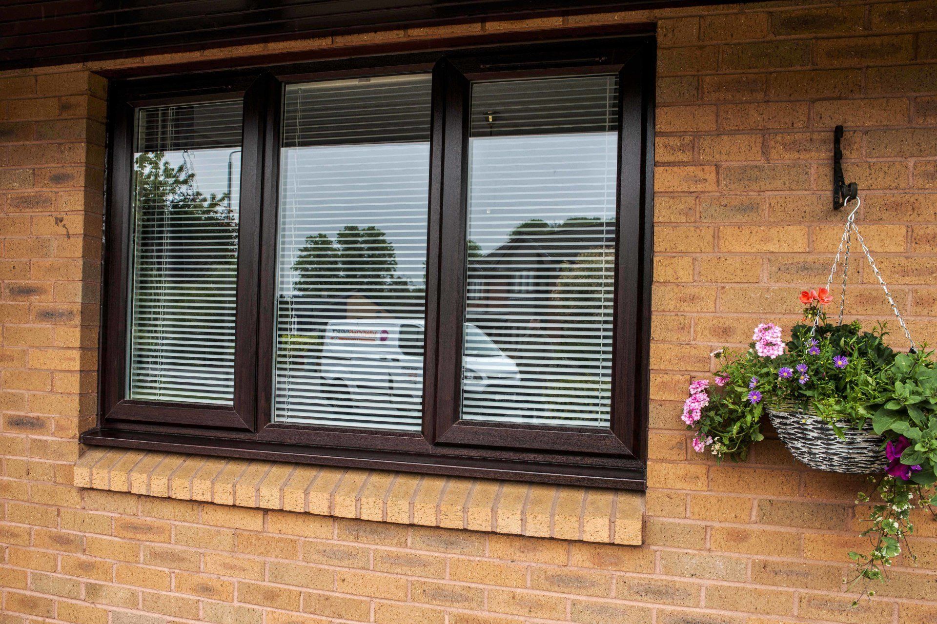 View Our Windows
