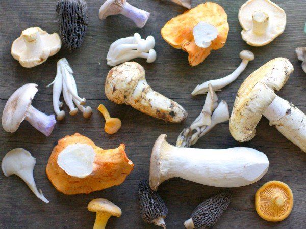 there are many different types of mushrooms on the table .