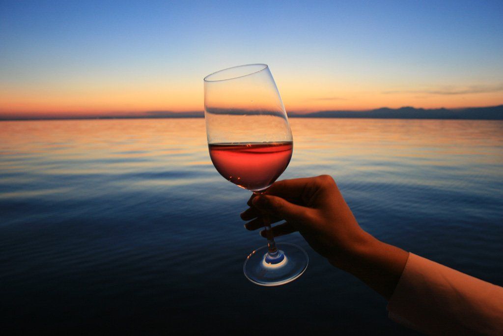 a person is holding a glass of wine in front of the ocean .