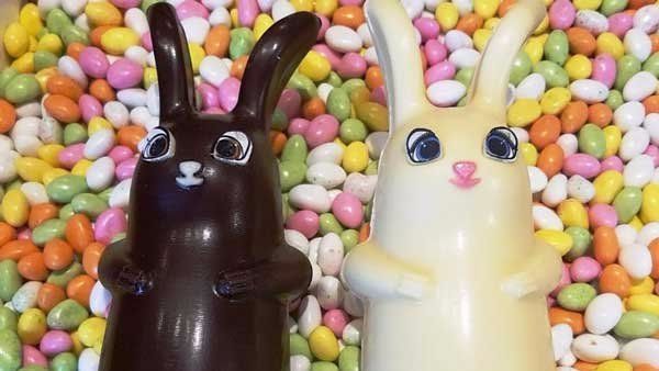 two chocolate bunnies are sitting on a pile of colorful candies .