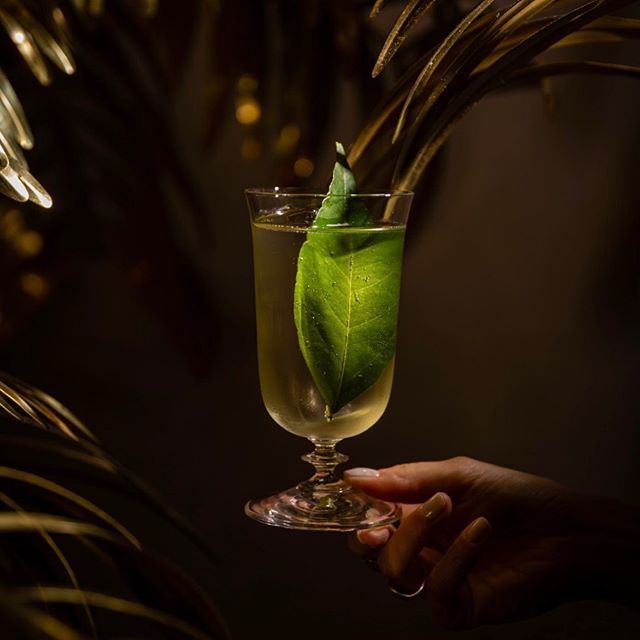 a person is holding a glass of wine with a leaf in it .