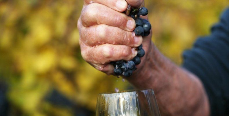 a person is squeezing grapes into a glass of wine .