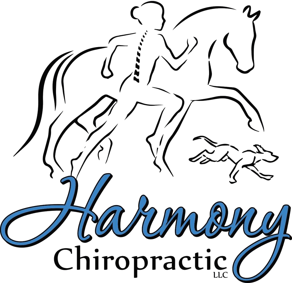 Logo showing a human silhouette with a visible spine, a horse, and a dog, with text: Harmony Chiropractic LLC.