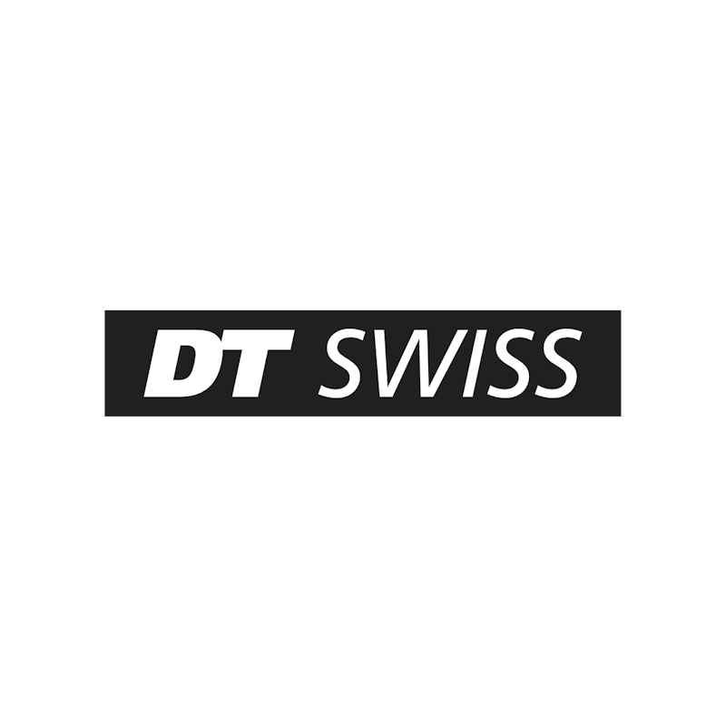 DT Swiss velgen naven