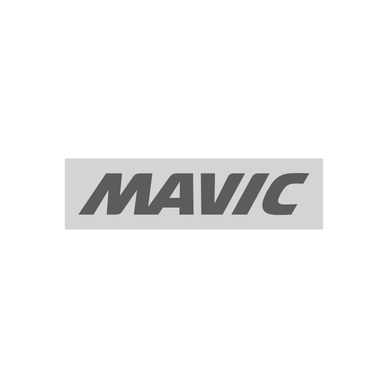 Mavic wheels