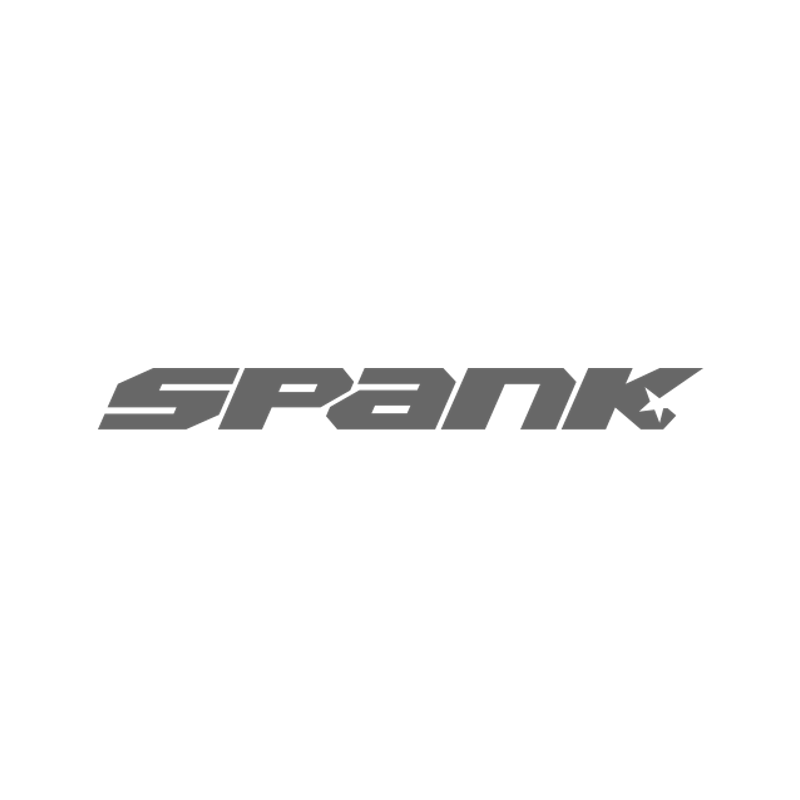 Spank components wielen