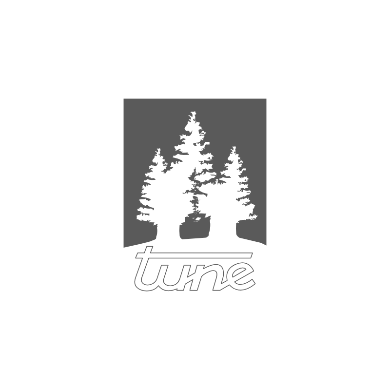 tune hubs