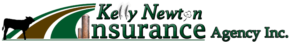 Kelly Newton Insurance Agency Inc logo