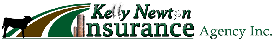 Kelly Newton Insurance Agency Inc logo
