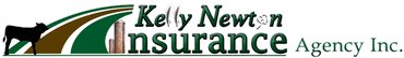 Kelly Newton Insurance Agency Inc logo