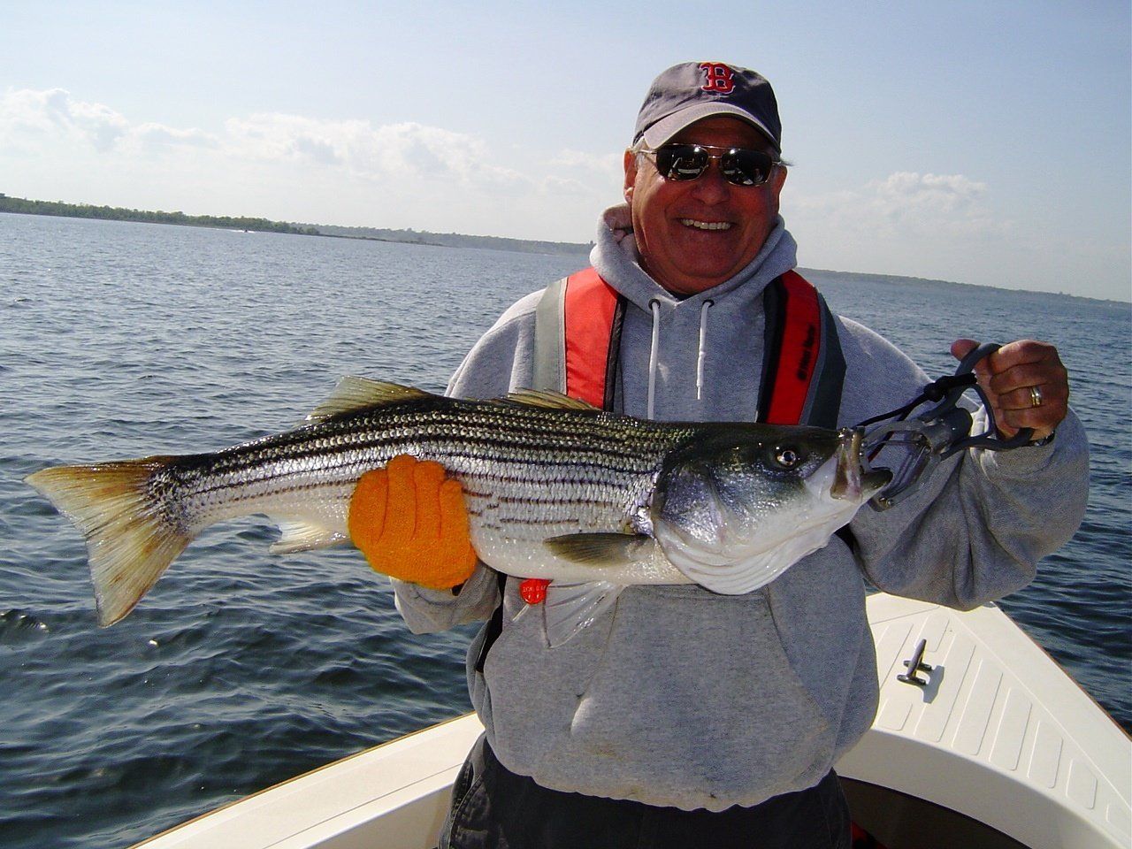 Striped bass caught on calm water charters