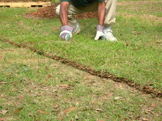 Landscape Design Wilson, NC