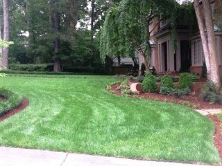 Lawn Care Maintenance