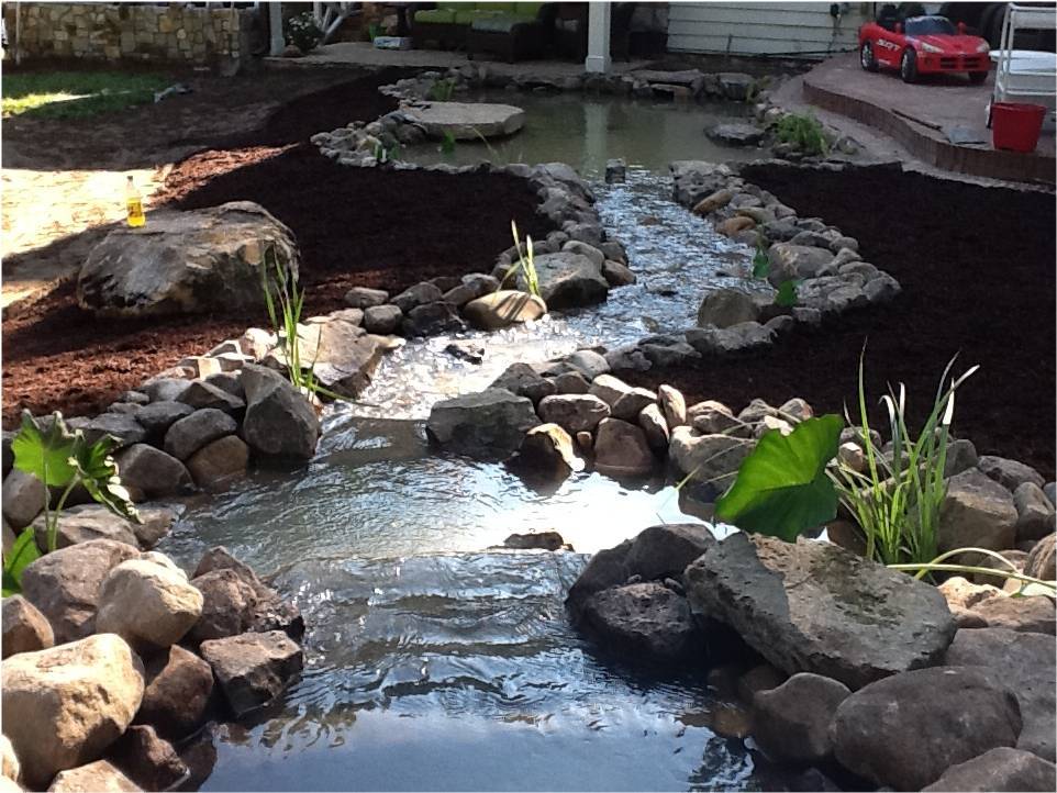 Landscape Design