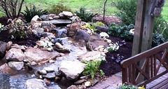 Irrigation Installation Bailey, Wilson & Raleigh, NC