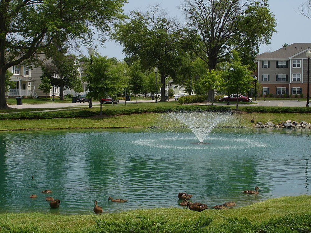 pond