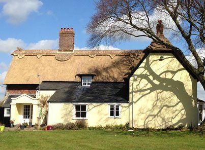 Experienced thatchers