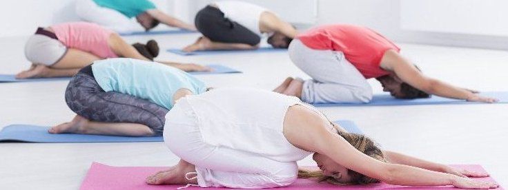 Yogakurs Vorbeuge