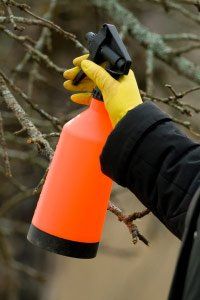 spraying sticks services