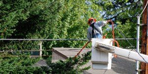 tree service estimates