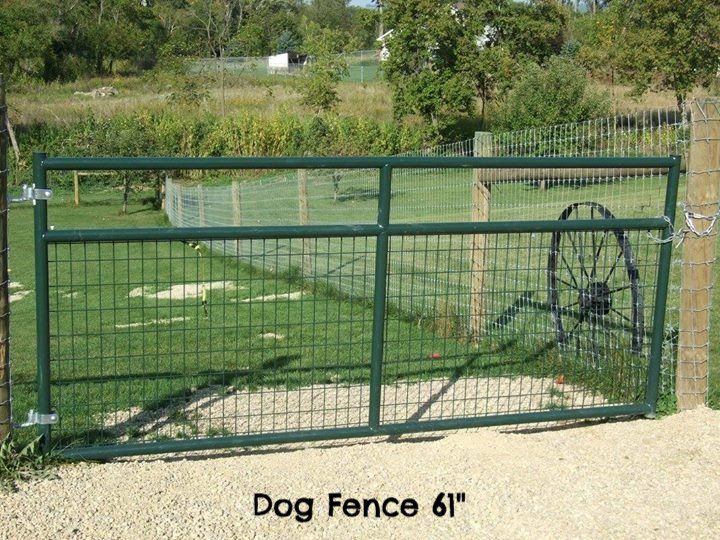 dog fence