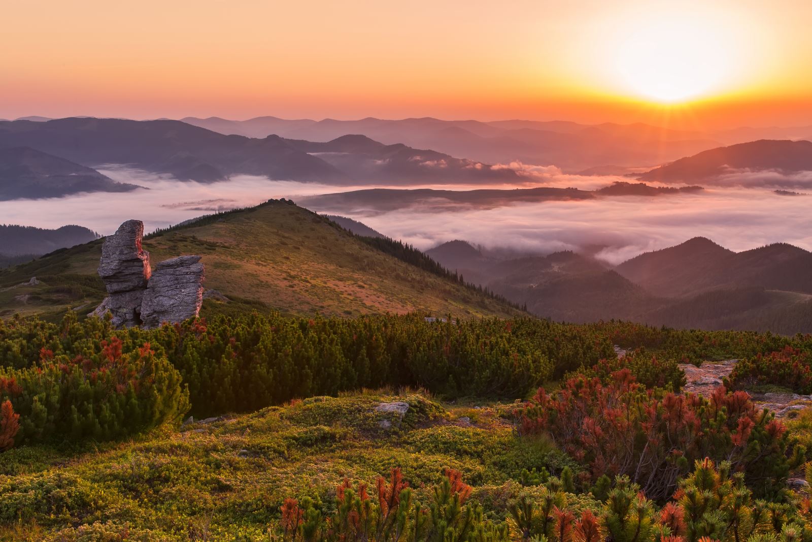 TraMONTO IN MONTAGNA