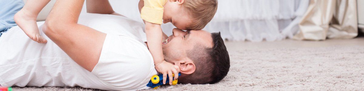 all seasons carpet cleaning and integrated pest management home