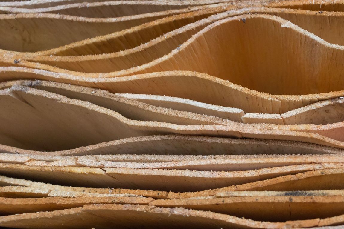 Servizio e refilatura di tranciati in legno