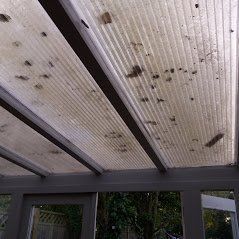 Double glazing repairs