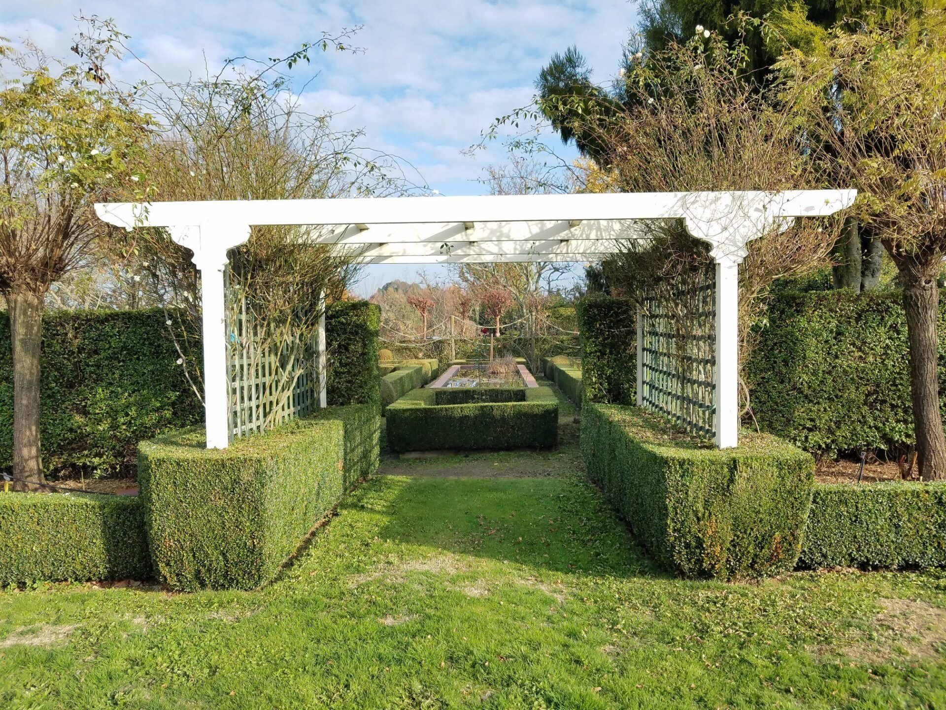 There is a white pergola in the middle of a garden.