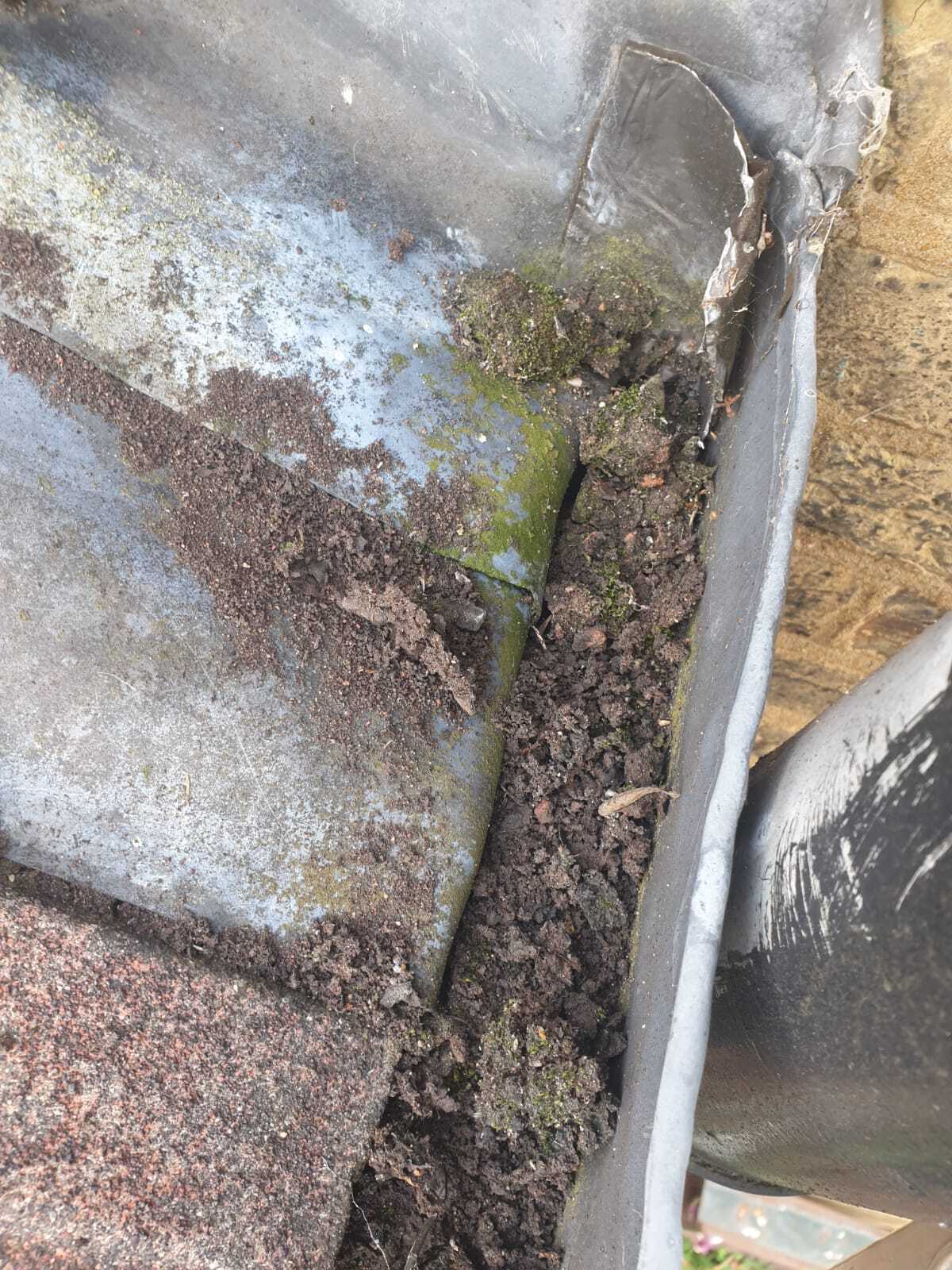 Gutter before cleaning