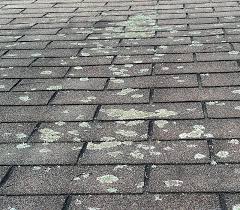 Roof Mildew in Newtown Square, PA | Roofing Contractor | Just Improvements 