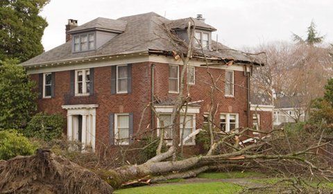 Evaluating roof damage