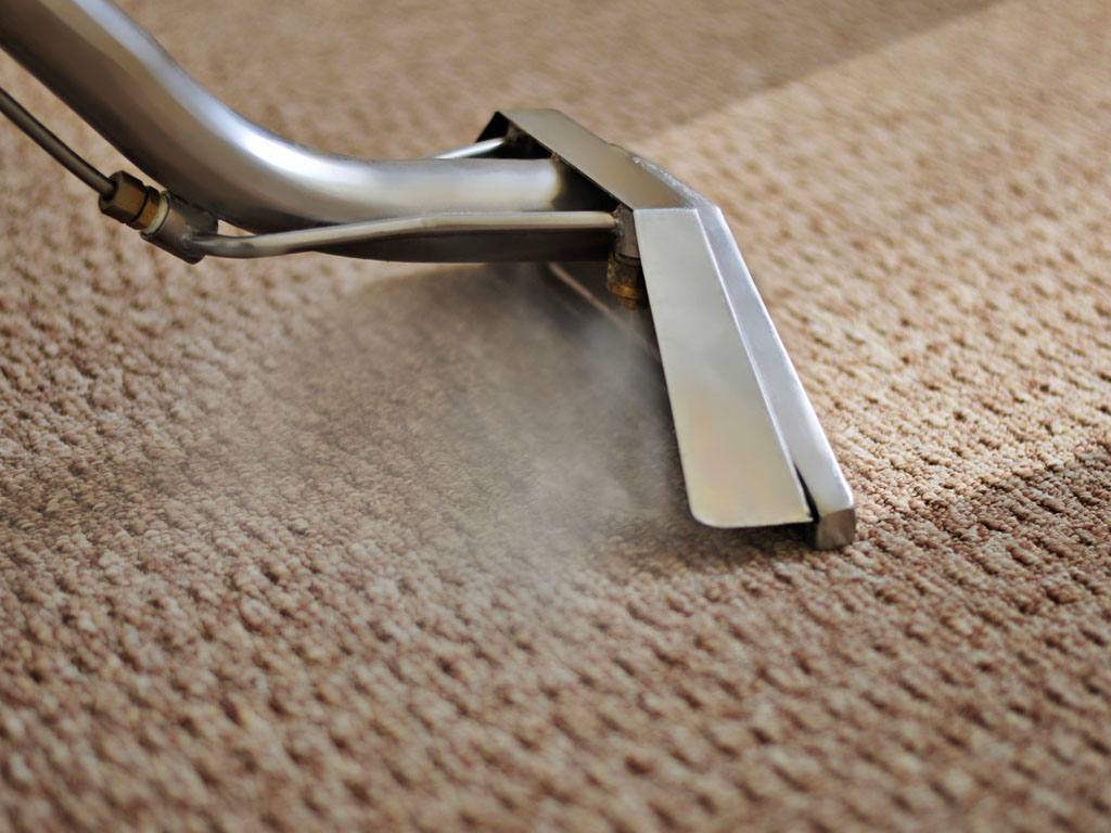 Carpet being cleaned with a steam cleaner, leaving a clean trail.