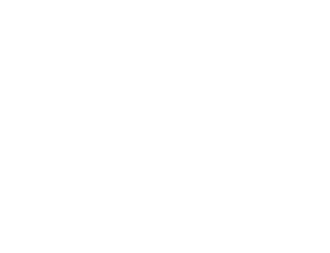 Trip Advisor Logo