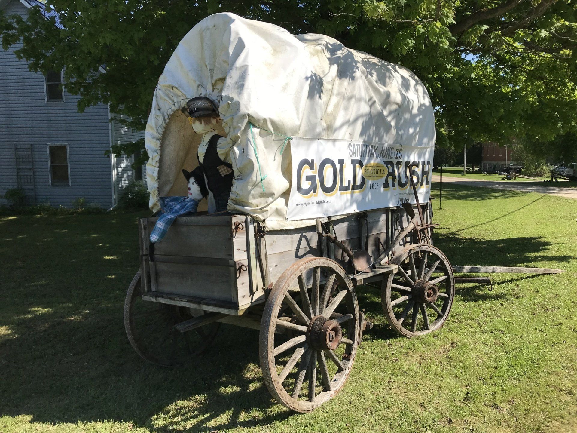Covered Wagon at Eugenia Gold Rush.