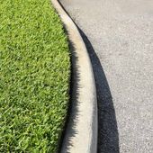St. Augustine Grass — East Hazel Crest, IL — Andrew McCann Lawn Sprinkler Company