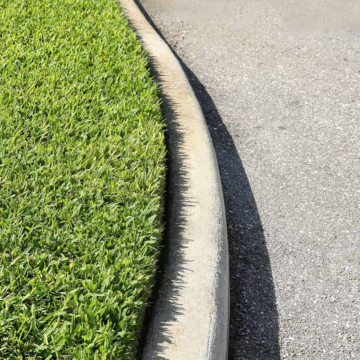 St. Augustine Grass — East Hazel Crest, IL — Andrew McCann Lawn Sprinkler Company
