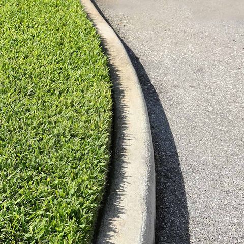 St. Augustine Grass — East Hazel Crest, IL — Andrew McCann Lawn Sprinkler Company St. Augustine Grass — East Hazel Crest, IL — Andrew McCann Lawn Sprinkler Company