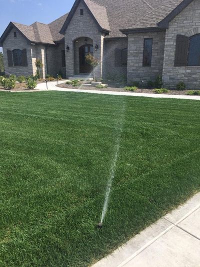 Newly Installed Water Sprinkler — East Hazel Crest, IL — Andrew McCann Lawn Sprinkler Company Newly Installed Water Sprinkler — East Hazel Crest, IL — Andrew McCann Lawn Sprinkler Company