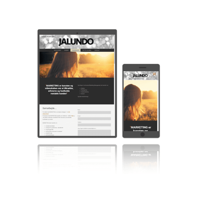 Responsive web design - indholdet tilpasser sig skærmen på din mobile browser
