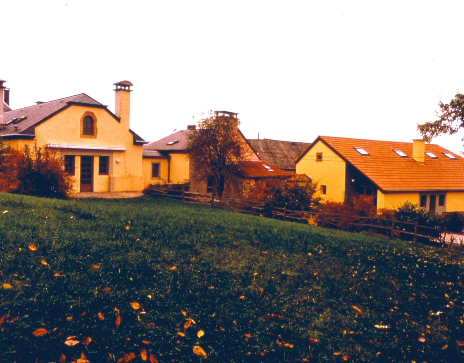 Theo Luxemburg