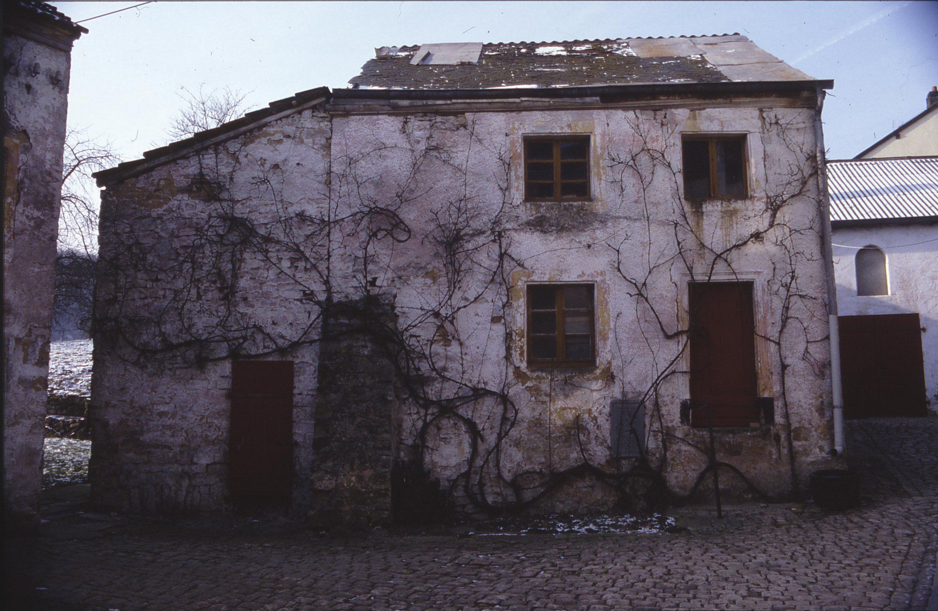 Theo Luxemburg