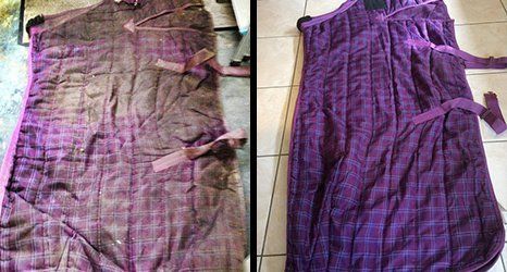 Before and after - Bed cleaning