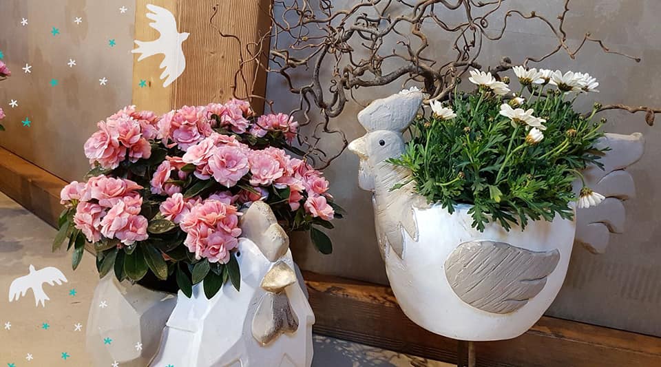 fioreria Emy Quero Vas composizione fiori