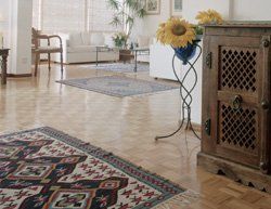 pest free home