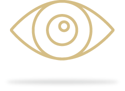 Cataract assessment icon