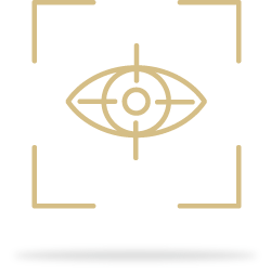 Retinal photos and OCT icon