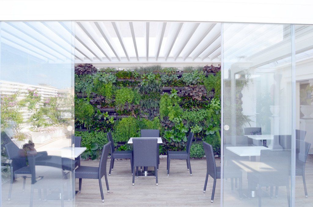 jardin sur le toit